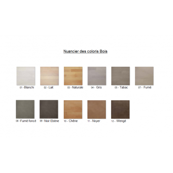 Nuancier Bois escalier limon central M20